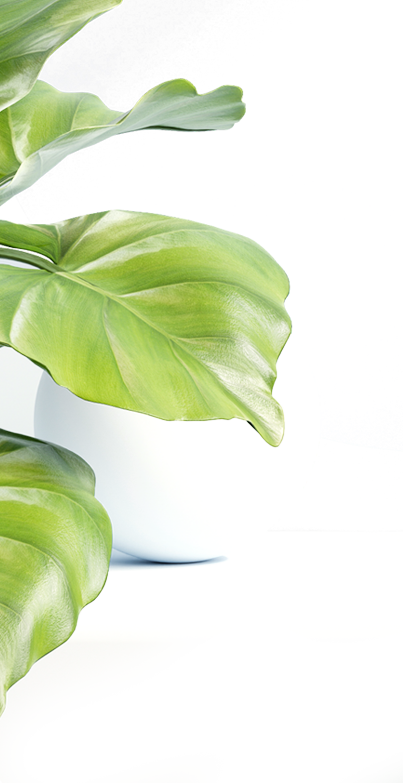 hscosmoceuticals.com