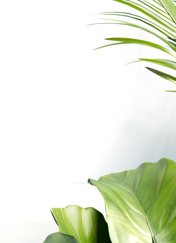 hscosmoceuticals.com